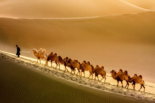 silk road transportation history